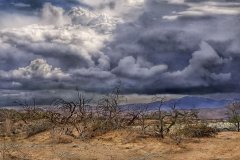 Storm clouds over the Mojave Desert.