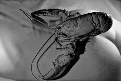 A lobster rests on a woman's behind.