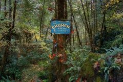 A church welcome sign hangs on a tree in an Oregon forest.