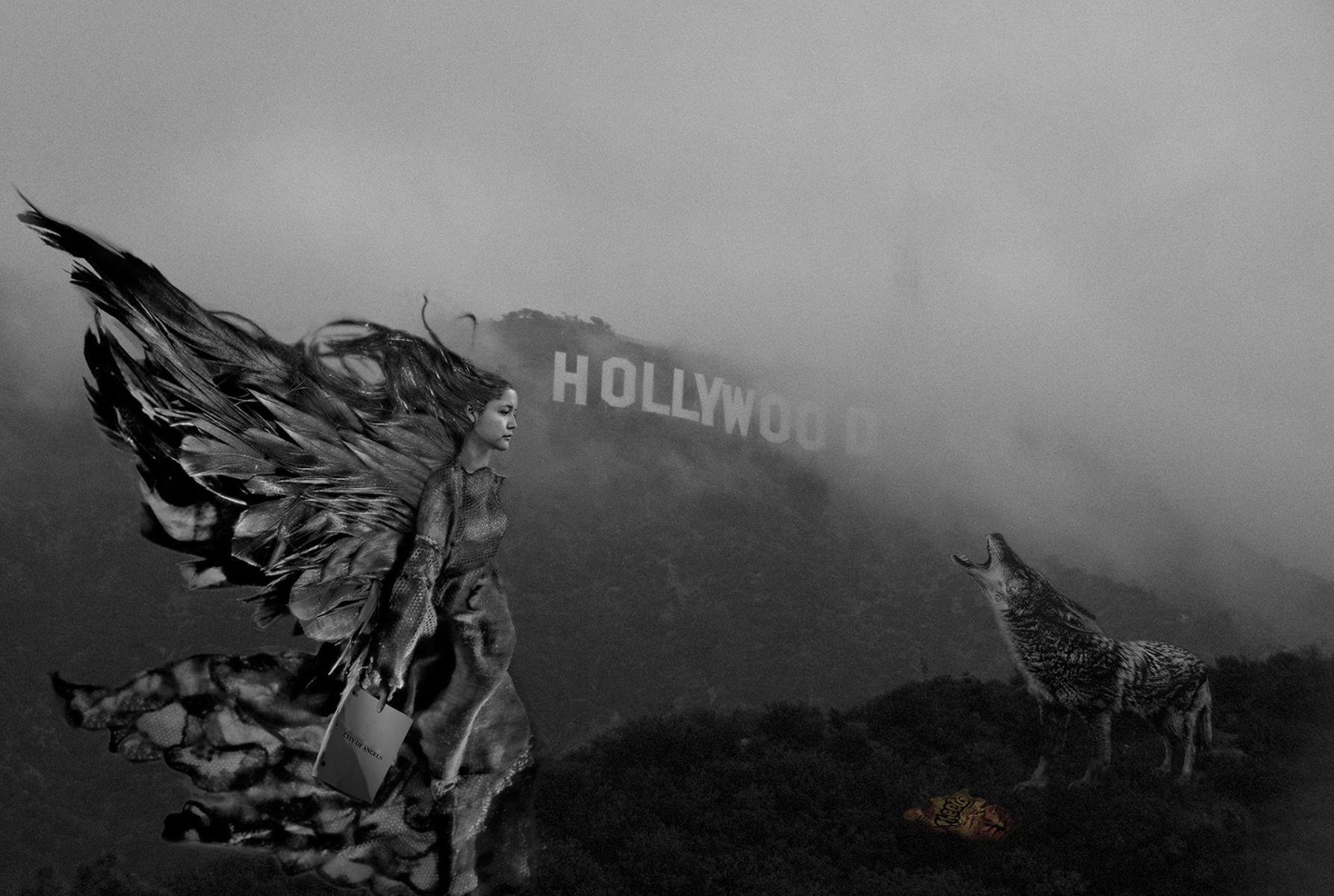 An angel under the Hollywood sign meets a coyote.