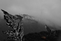 An angel under the Hollywood sign meets a coyote.