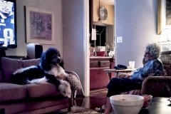 A standard poodle and a senior woman watch the Super Bowl football game.