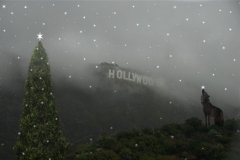 A coyote kisses a star by the Hollywood sign.