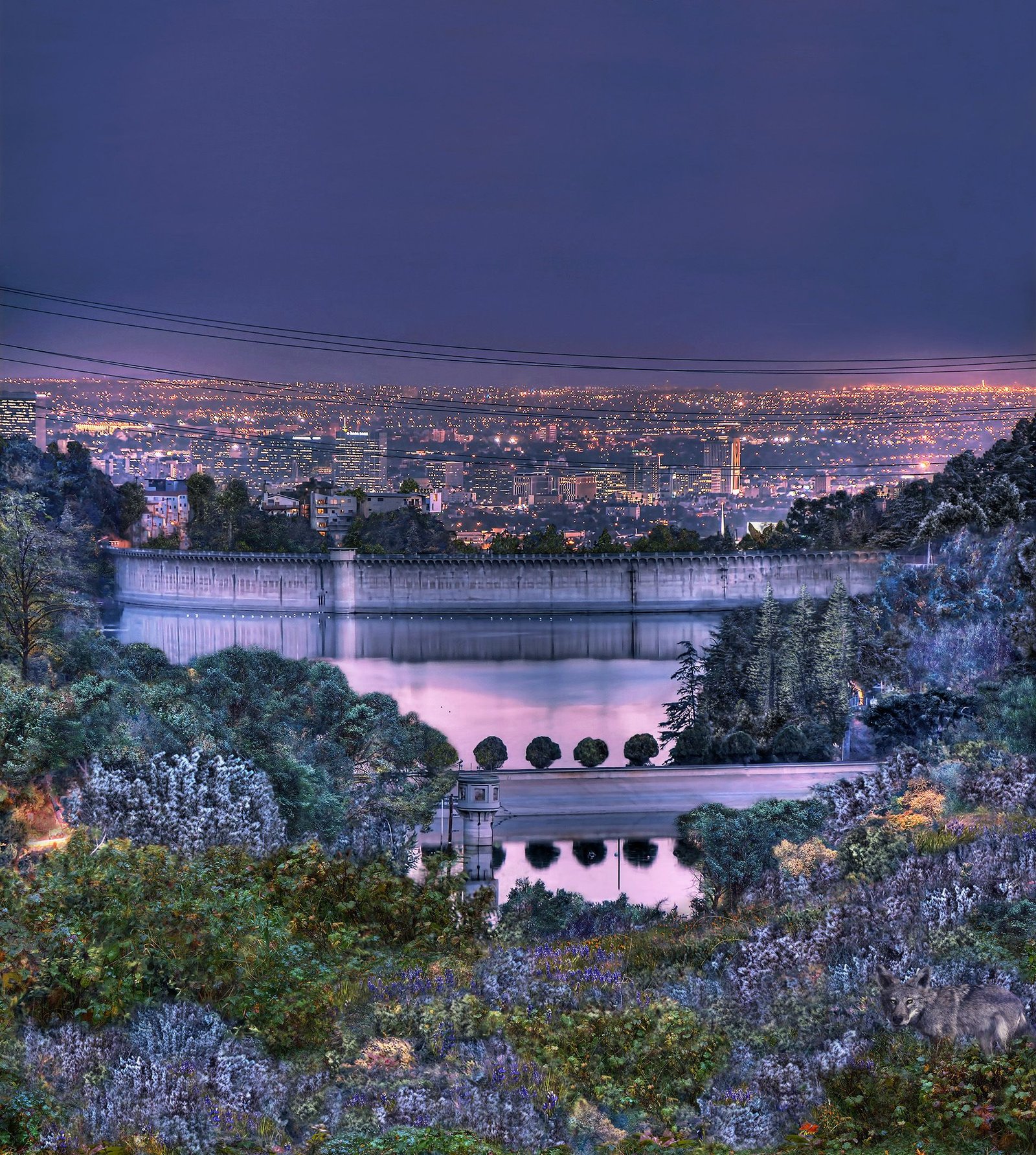 LA Reservoir Night