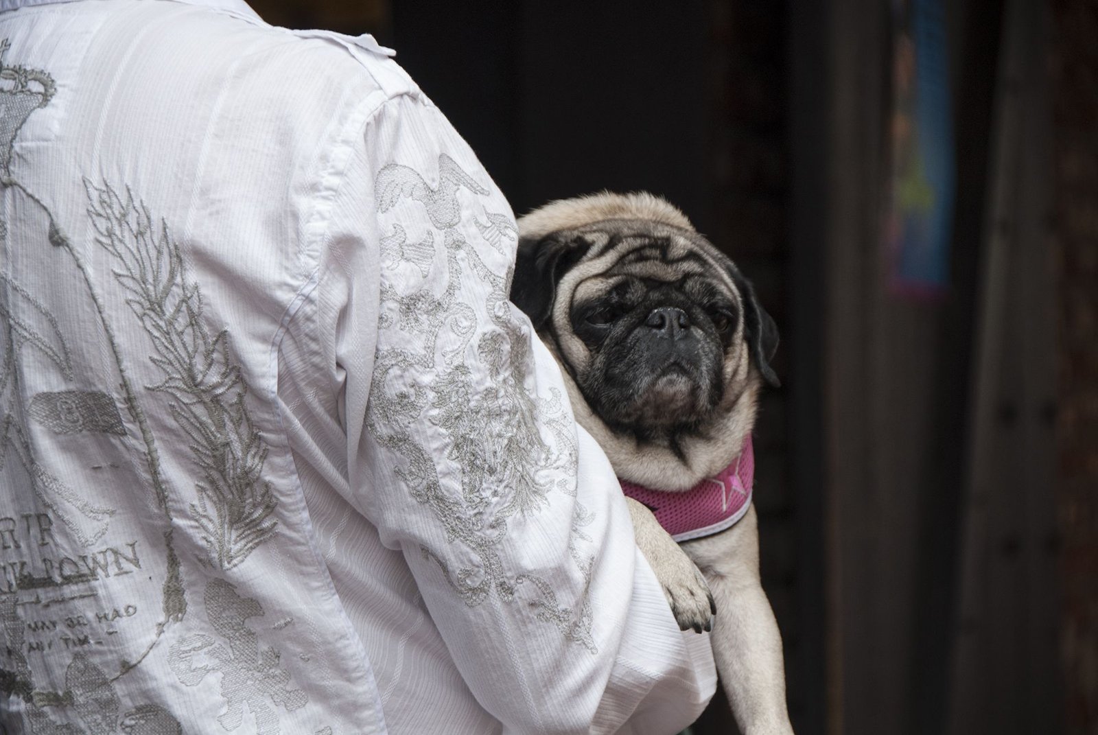Hand held pug