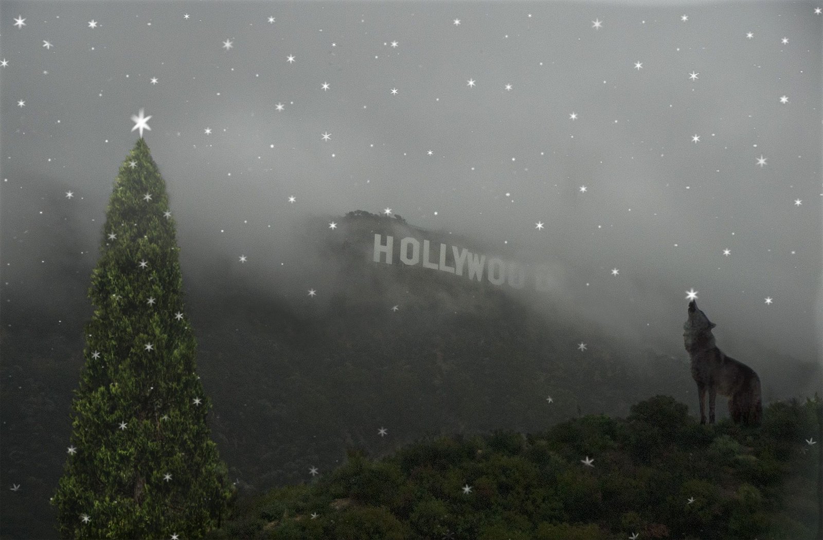 Hollywood Coyote Christmas