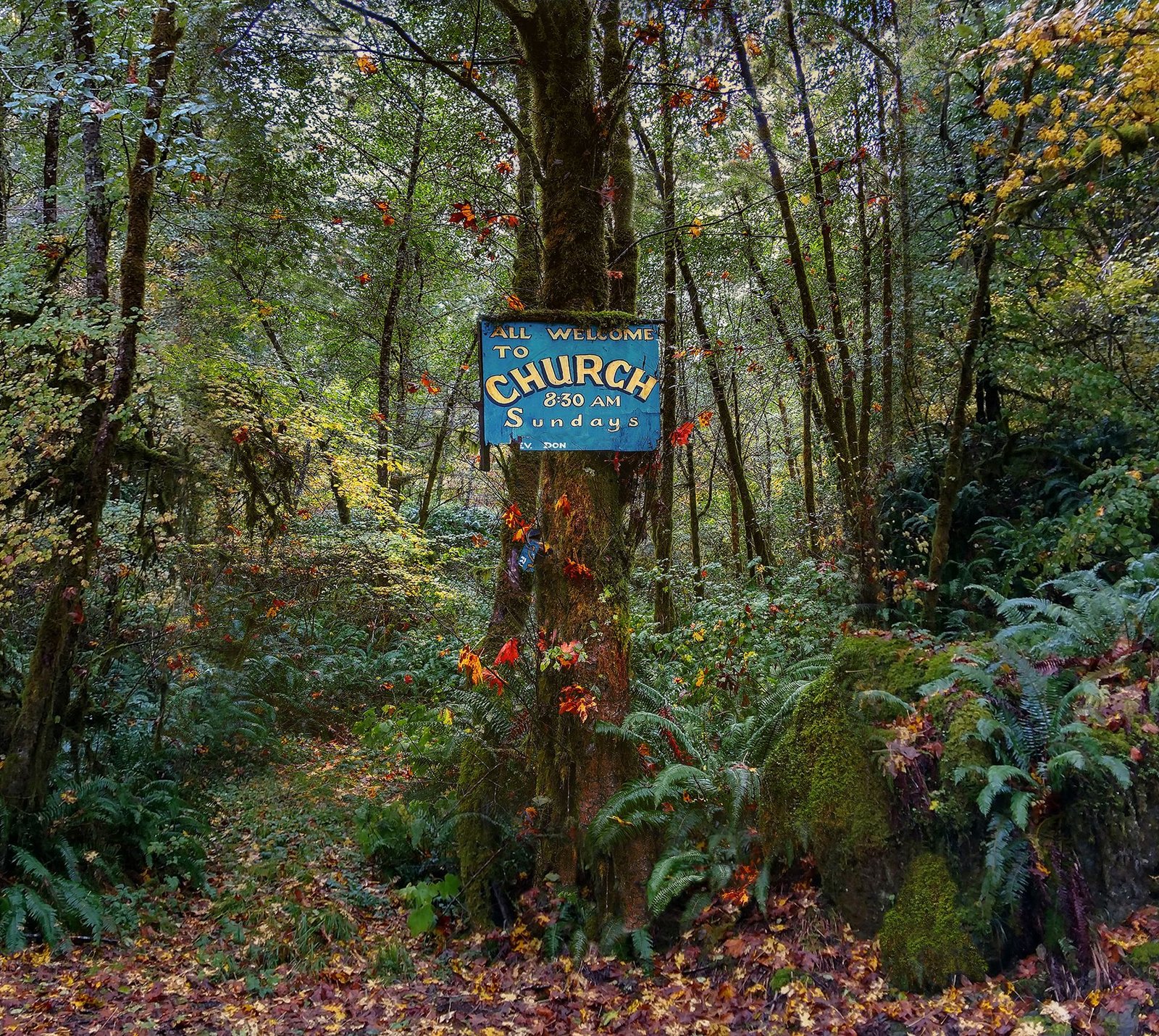 A Forest Church
