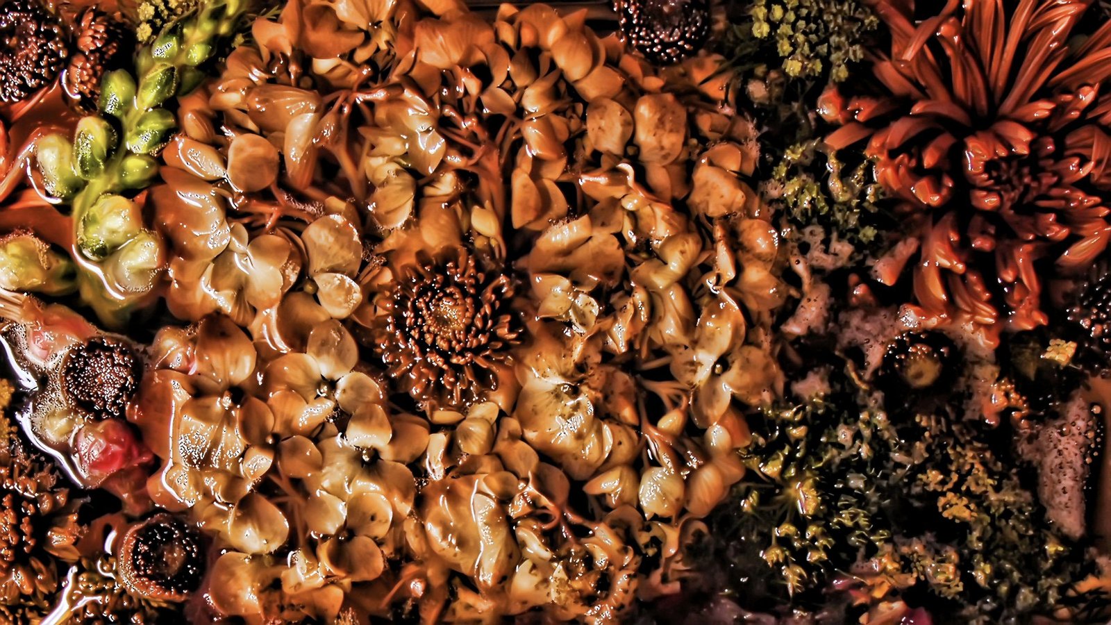 Thawed Frozen Flowers